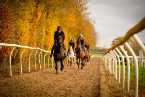 Autumn Gallops