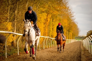 Will leads Autumn Gallops