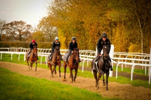 Autumn Gallops