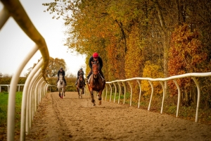 Autumn Gallops