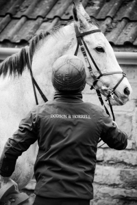 Sponsors Dodson & Horrell