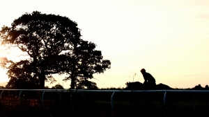 Perfect early morning ride