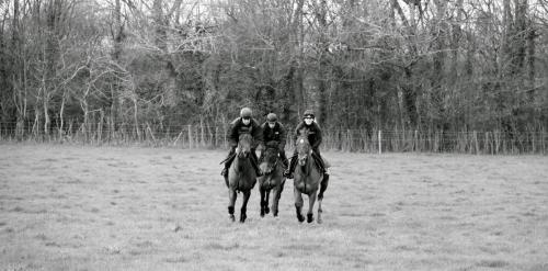 Out training approaching fence