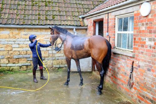 Cooling down after a day out training